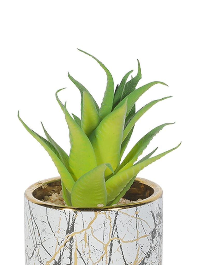 Market99 Fake Aloevera Desktop Planter