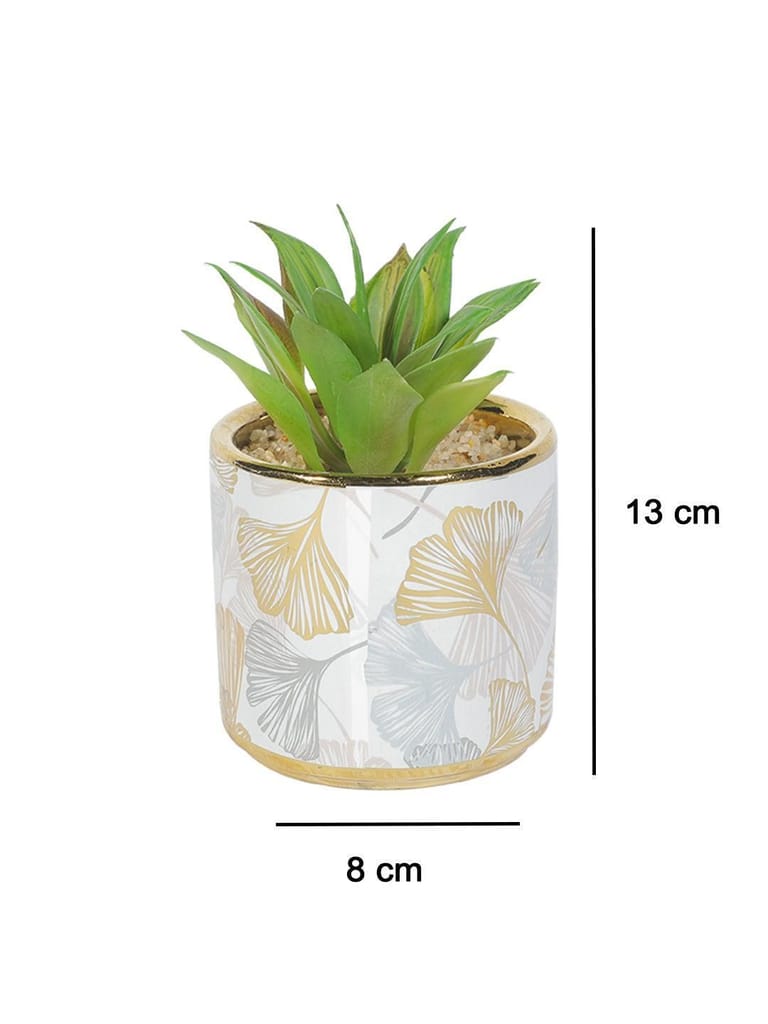 Market99 Fake Aloevera Desktop Planter