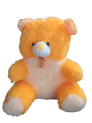  Cute and Soft Orange Teddy Bear