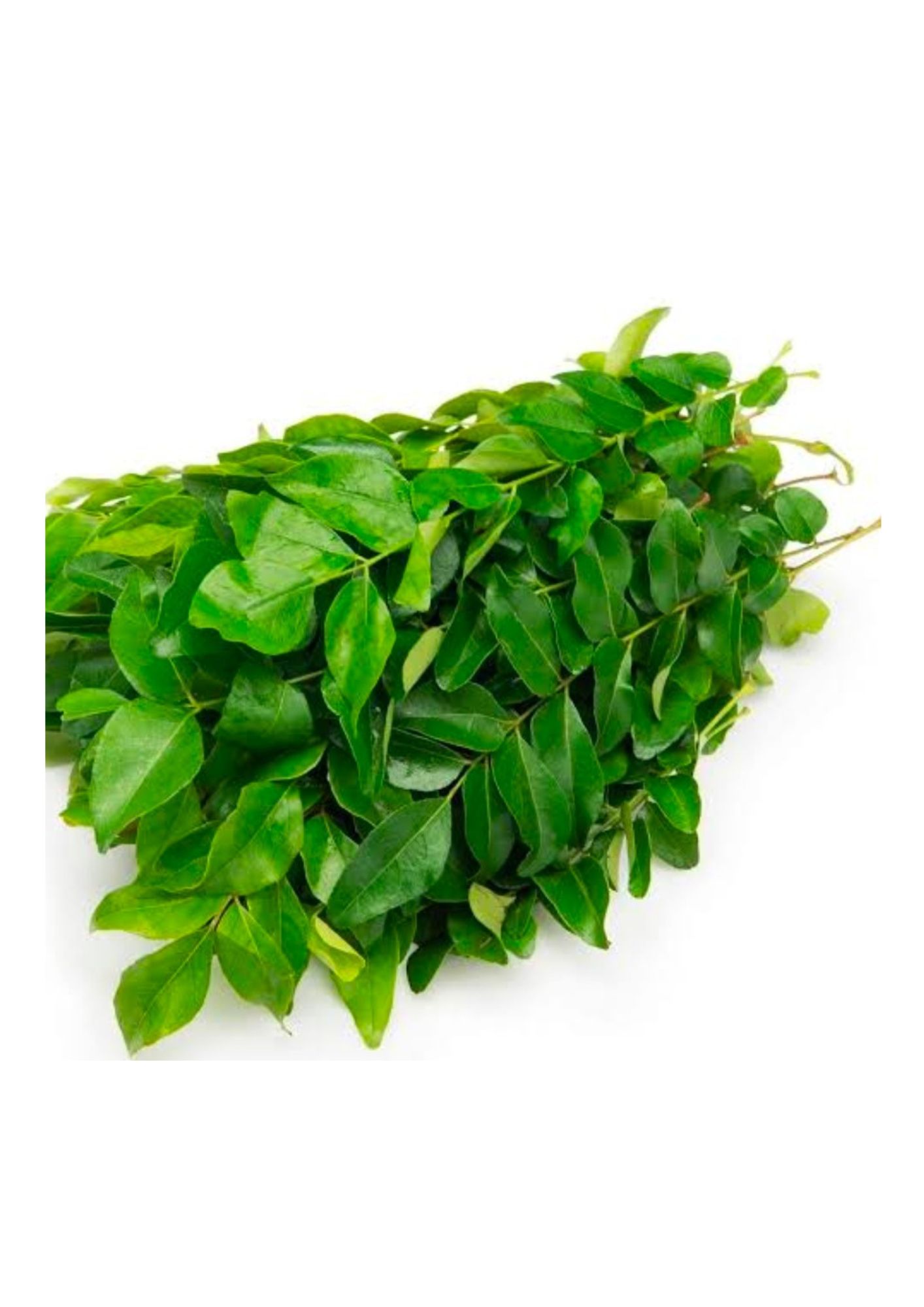 Curry leaves 1 Bunch