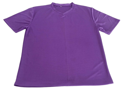  Unisex V-Neck T-Shirt in Purple
