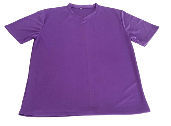  Unisex V-Neck T-Shirt in Purple