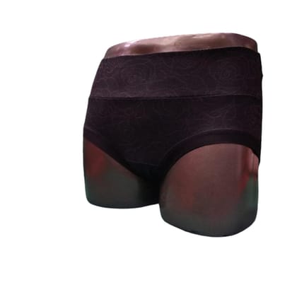 P5667 SAREE SUPPORT BRASSO MODAL PANTY