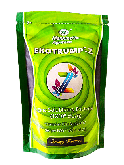 EKOTRUMP-Z Zinc Solubilizing Bacteria
