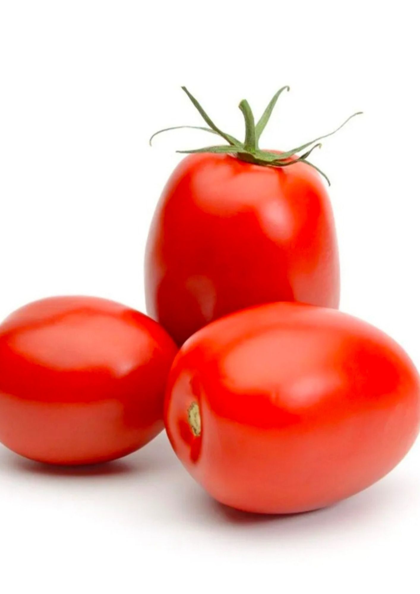 Fresh Tomato