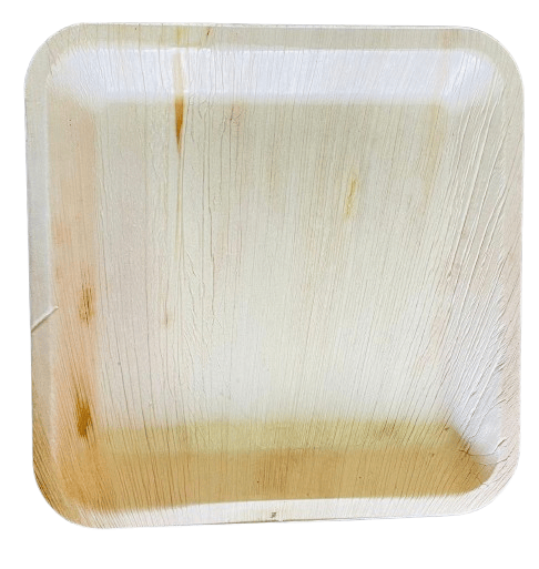 Areca Palm Leaf Plates | Disposable & Eco-Friendly | 10 Inches | Pack of 100