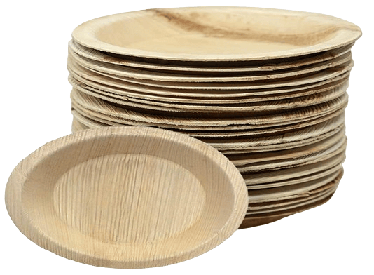 6 Inch Biodegradable Disposable Areca Palm Leaf Plates - 100 Pieces in Pack