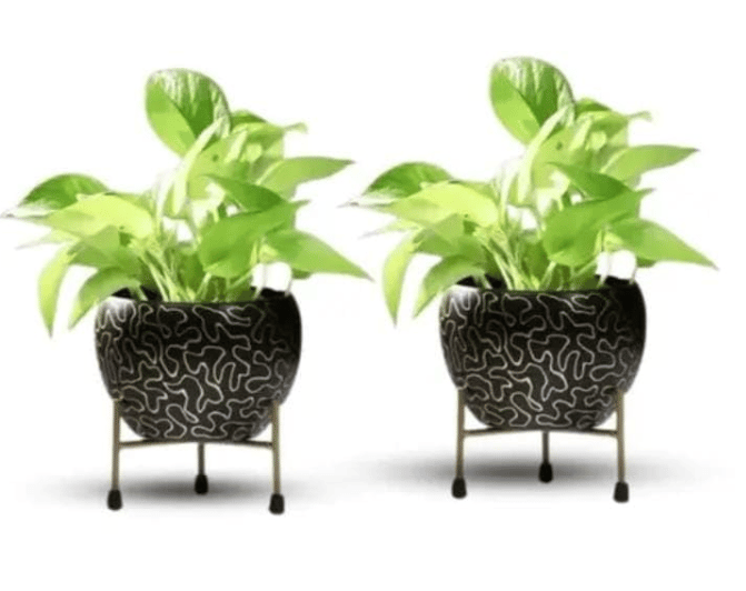 DECOR DIARIES Gold Metal Pots for Indoor Plants with Drainage Hole | Designer Flower Pot & Planters for Home Décor, Living Room, Kitchen, Bedroom, Table Top, Office, Gifting (Pack of 2) Style - 08