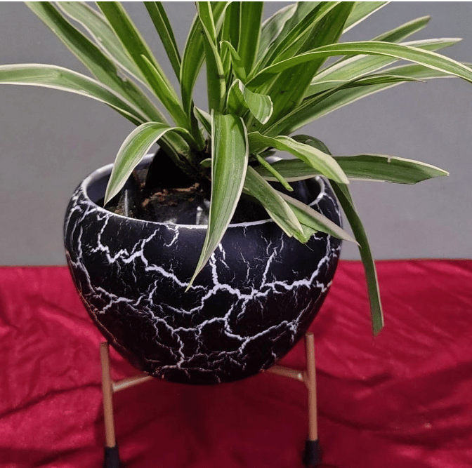 DECOR DIARIES Gold Metal Pots for Indoor Plants with Drainage Hole | Designer Flower Pot & Planters for Home Décor, Living Room, Kitchen, Bedroom, Table Top, Office, Gifting -Style - 03