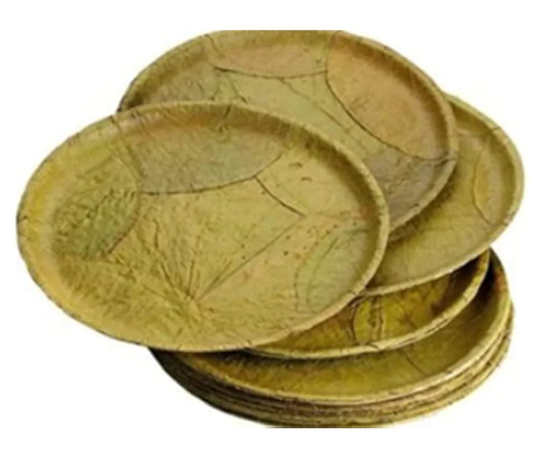  Areca Leaf Plates, 100% Natural and Biodegradable, Disposable and Eco-Friendly, Perfect for Parties, Weddings, and Events (Pack of 25)