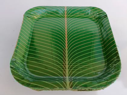 Ecofriendly-Disposable Coated Sqare Paper Plates Thali (Green, 12 inches) -Set of 25 Pieces