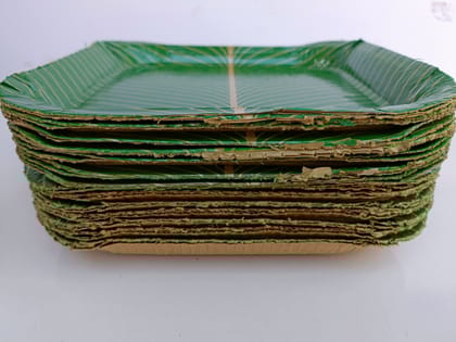 Ecofriendly-Disposable Coated Sqare Paper Plates Thali (Green, 12 inches) -Set of 100 Pieces