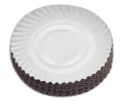 Tiffin Paper Plates - Set of 25 Pieces