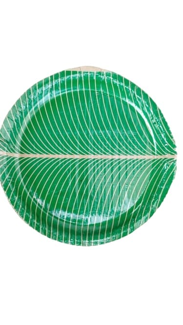  Areca Leaf Plates, 100% Natural and Biodegradable, Disposable Plates for Parties and Events (Pack of 25)