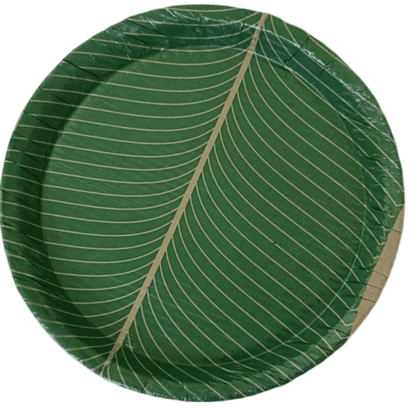 Paper Plates Green 80/13 (170 Pieces)