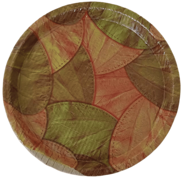 Paper Plates Multi Colour 100/13 (170 Pieces)