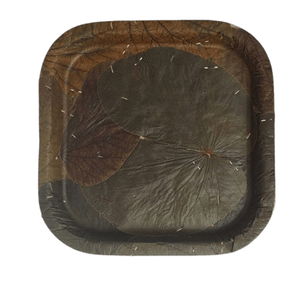SRI CHANDIMATHA PAPER PLATES - Leaf-Shaped, Eco-Friendly Pack of 20