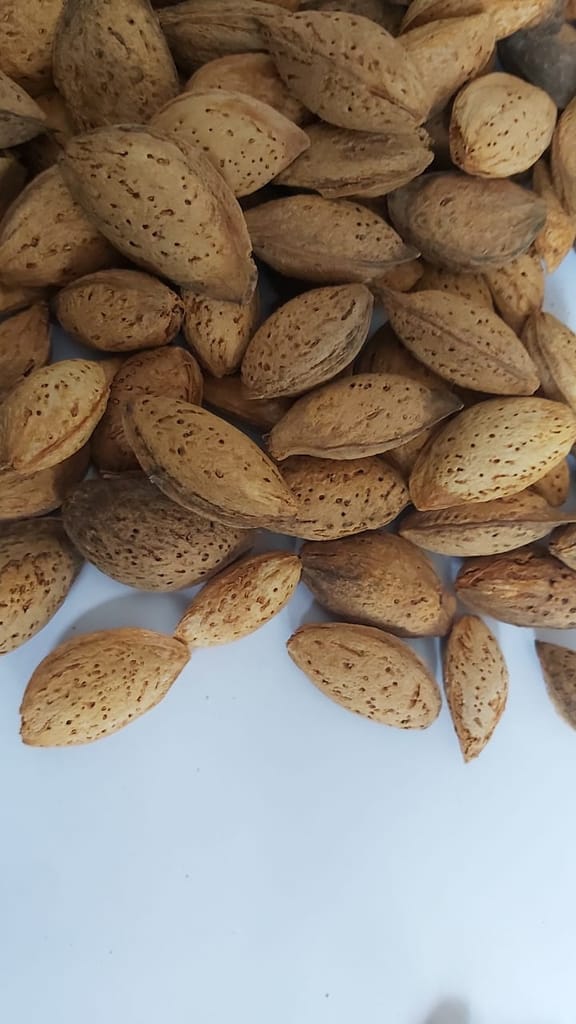 Kashmiri Kagzi Mamra almonds withshells pack of 1kg