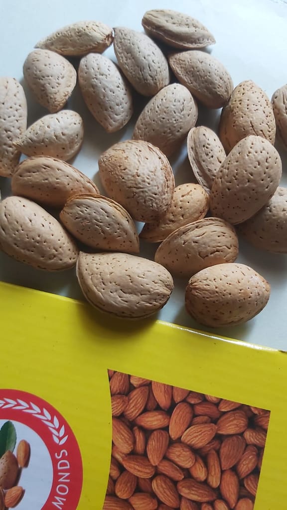 Kashmiri Kagzi Mamra almonds withshells pack of 1kg