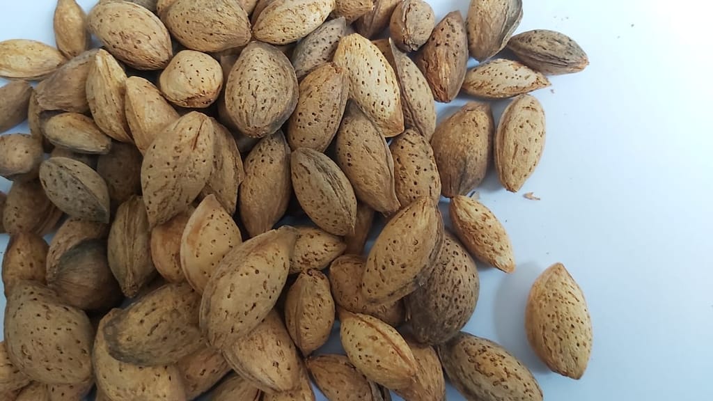 Kashmiri Kagzi Mamra almonds withshells pack of 1kg