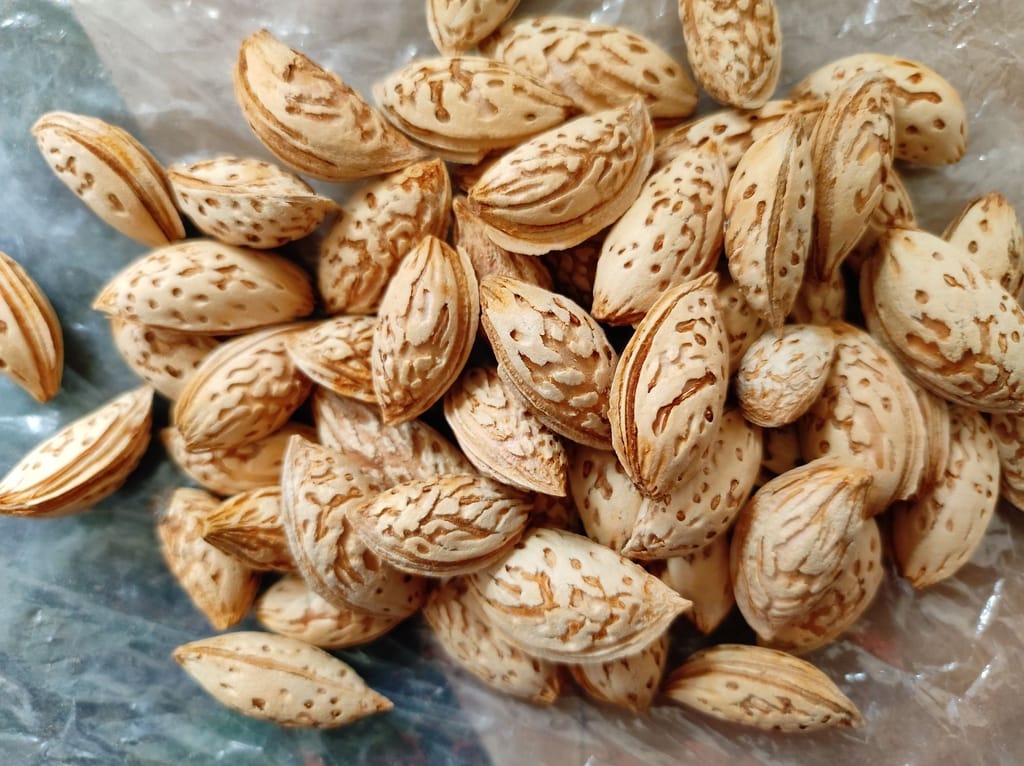 KASHMIRI KAGZI MAMRA ALMONDS WITH SHELL PACK OF 1 KG
