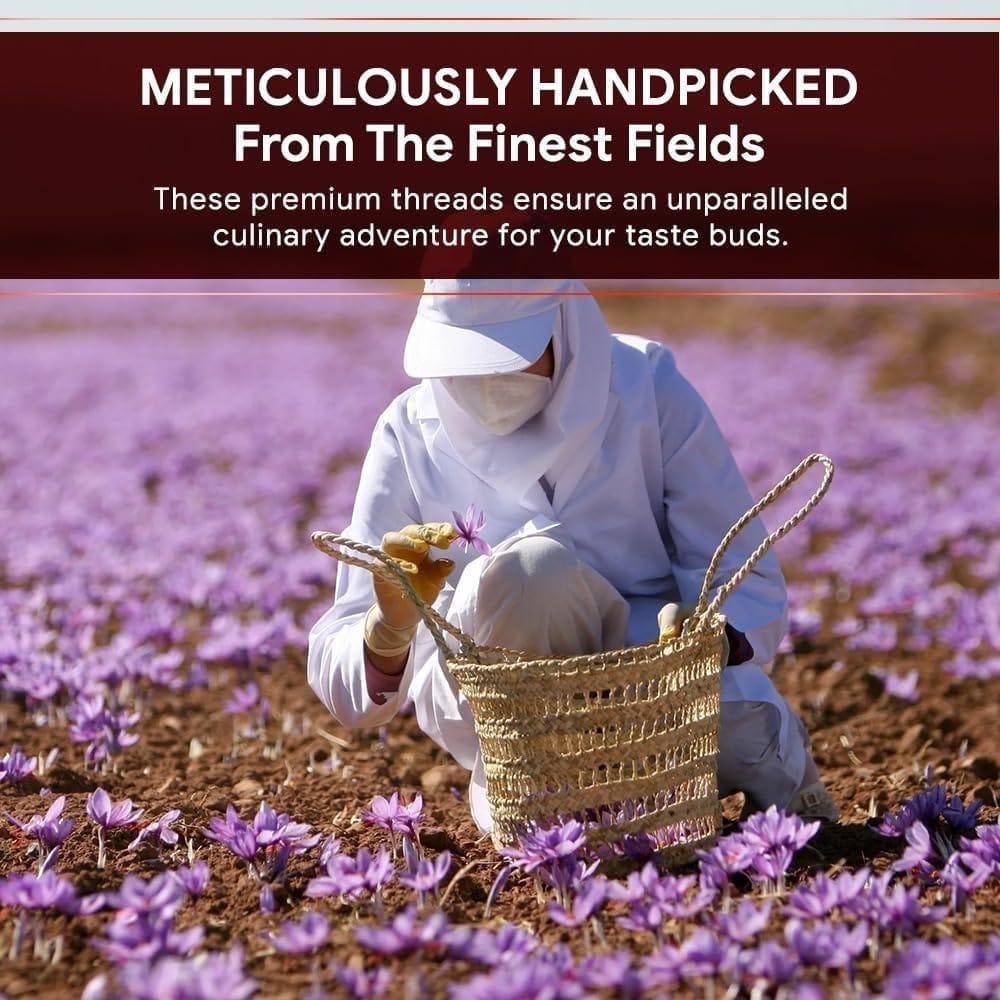 GOJI Premium Mogra Saffron/Kesar - 2g | 100% Pure and Natural Saffron from the Pristine Hills of Kashmir | Organically Cultivated | Ultimate Health Booster, Rich in Antioxidants | Enhances Well-being