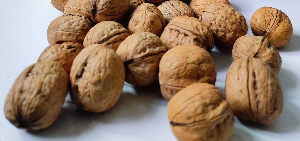 Snow Hills 100% Pure Premium Raw Kashmiri Inshell Walnuts 1 Kg Pack, Latest Crop Inshell Walnut | Akhrot | Delicious & Crunchy Walnut (1kg)