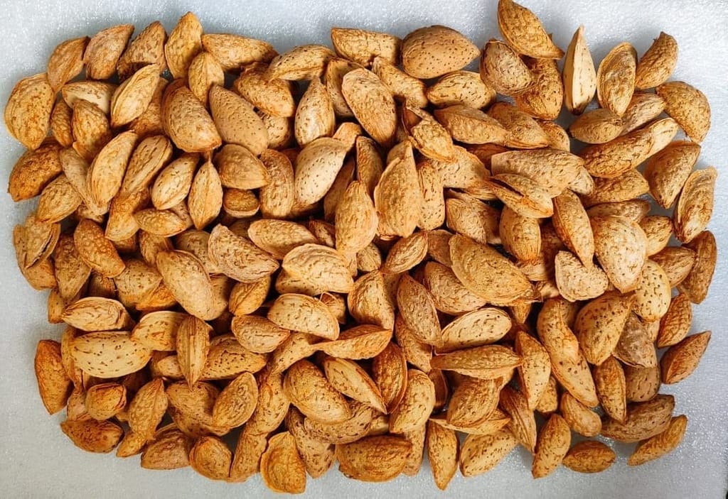 SnowHills Soft shelled almonds/badam kashmiri kagzi special Mamra Almonds with Shell (Mamra Badam) (1 kg) (1KG)