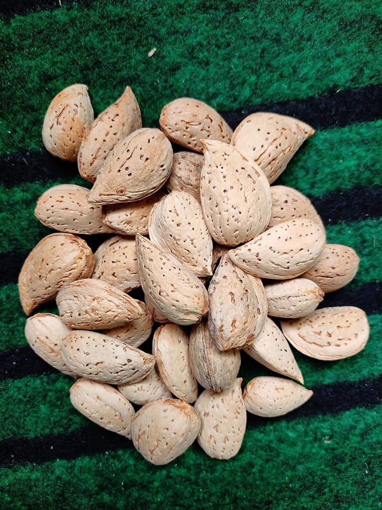 Snow Hills Raw Almonds organic kashmiri Mamra badam with shells (Mamra badam) (1KG)