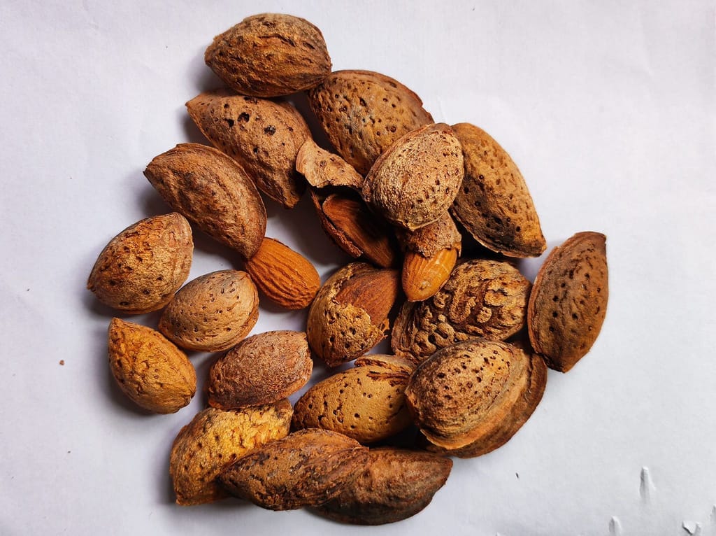 Snow Hills Kashmir Sasta Mamra Badam With Shell(Mamra Almonds) (1Kg), Dry Fruit