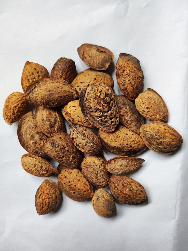 Snow Hills Kashmir Sasta Mamra Badam With Shell(Mamra Almonds) (1Kg), Dry Fruit