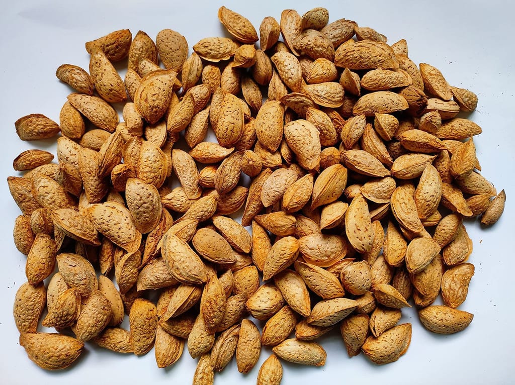 Snow Hills Original Mamra Almonds/Badam Premium Mamra Badam (with shell) (1KG)