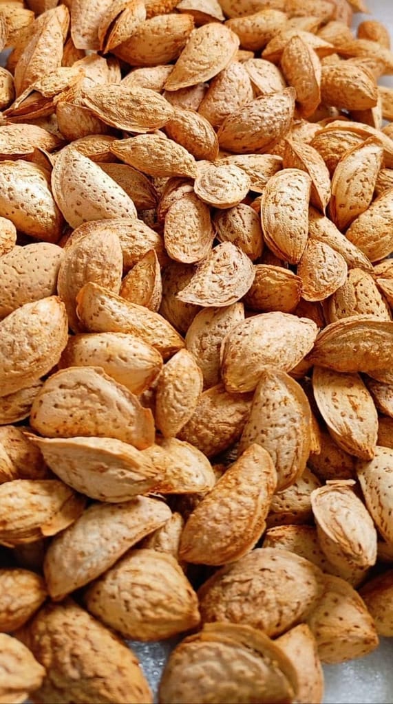 SnowHills Kashmir�s Kagzi special Mamra Almonds in Shell (Mamra Badam) pack of 2KG