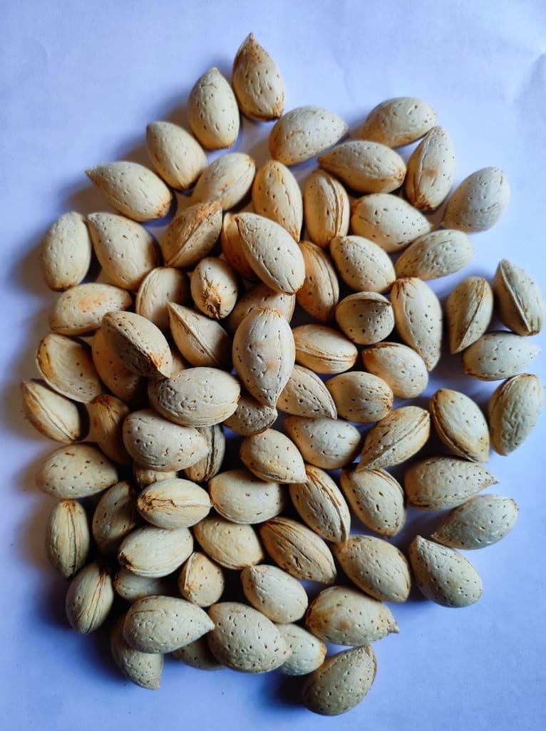 GOJI Kashmiri Kagzi Special Mamra Almonds Withshell (Kashmiri Soft Shell Mamra Badam) 1Kg Pack, Dry Fruit