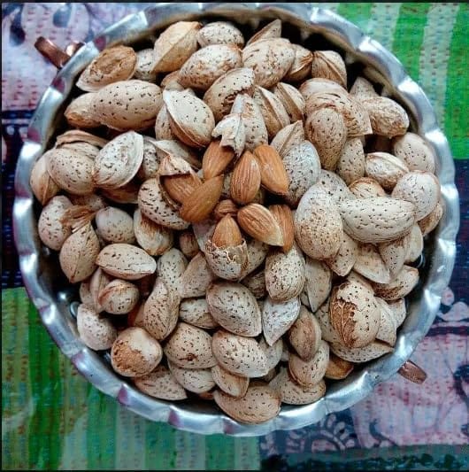 GOJI Kashmiri Kagzi Special Mamra Almonds Withshell (Kashmiri Soft Shell Mamra Badam) 1Kg Pack, Dry Fruit