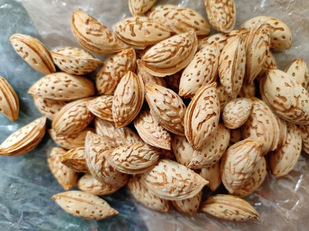 GOJI Kashmiri Kagzi Special Mamra Almonds Withshell (Kashmiri Soft Shell Mamra Badam) 1Kg Pack, Dry Fruit