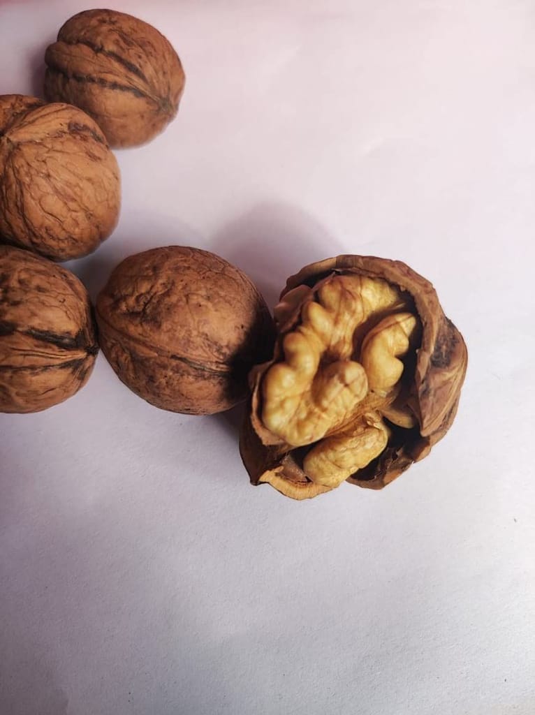 Snow Hills Kashmiri Walnuts/Akhrot In Shell (500g) Delicious & Crunchy Walnut | Sourced From Kashmir 100% Natural & Organic Walnuts