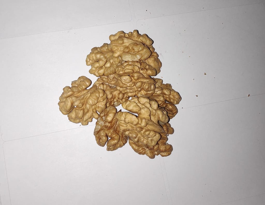 Kashmir's Special Snow White Walnuts Giri (Without Shell) 250 grams