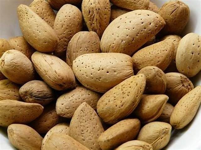 GOJI Royal Mamra Almonds with shell | 100% Pure Almonds with Hard Shell | Shell Is Hard to breakl| High Oil Content, Rich in Antioxidants | Enhances Brain Power and Stamina |