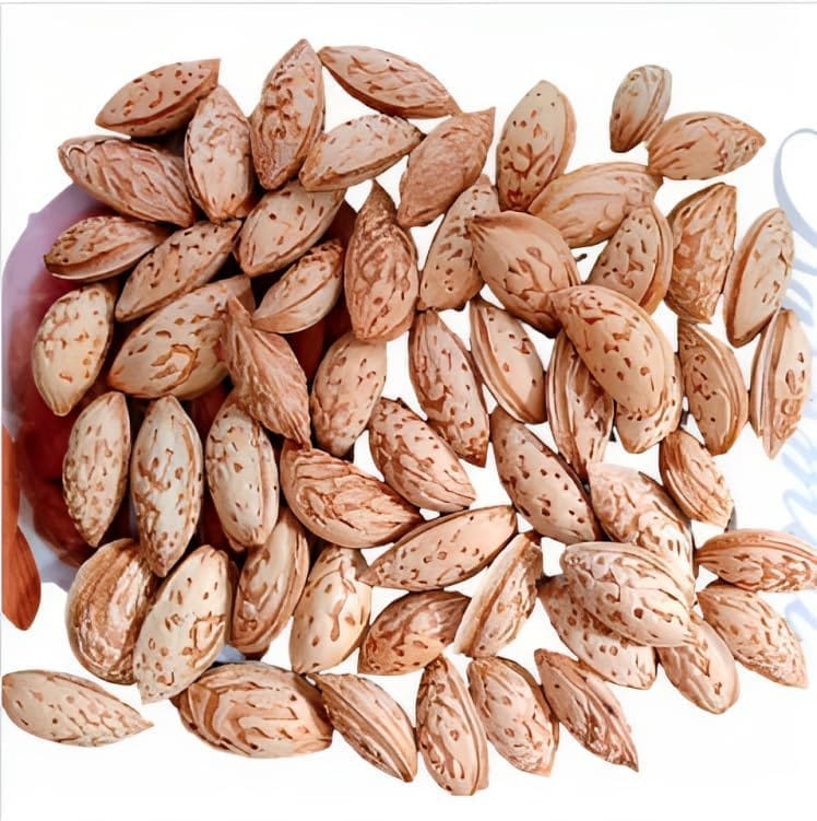 Natural & Organic kashmiri mamra Almonds (INSHELL)