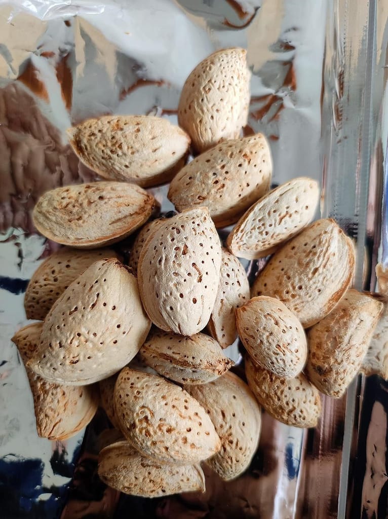 Natural & Organic kashmiri mamra Almonds (INSHELL)