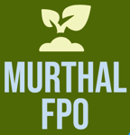 MURTHAL FPO