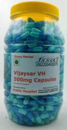 Vijaysar VH Herbal Supplement 500mg Capsules