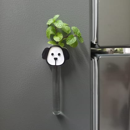 Magnetic Test Tube Planter for Fridge, Magnetic Surface Magnetic Test Tube Planter for Fridge, Magnetic Surface