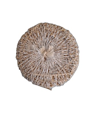 Natural Loofah Sponge for Exfoliating and Smoothing Skin Natural Loofah Sponge for Exfoliating and Smoothing Skin