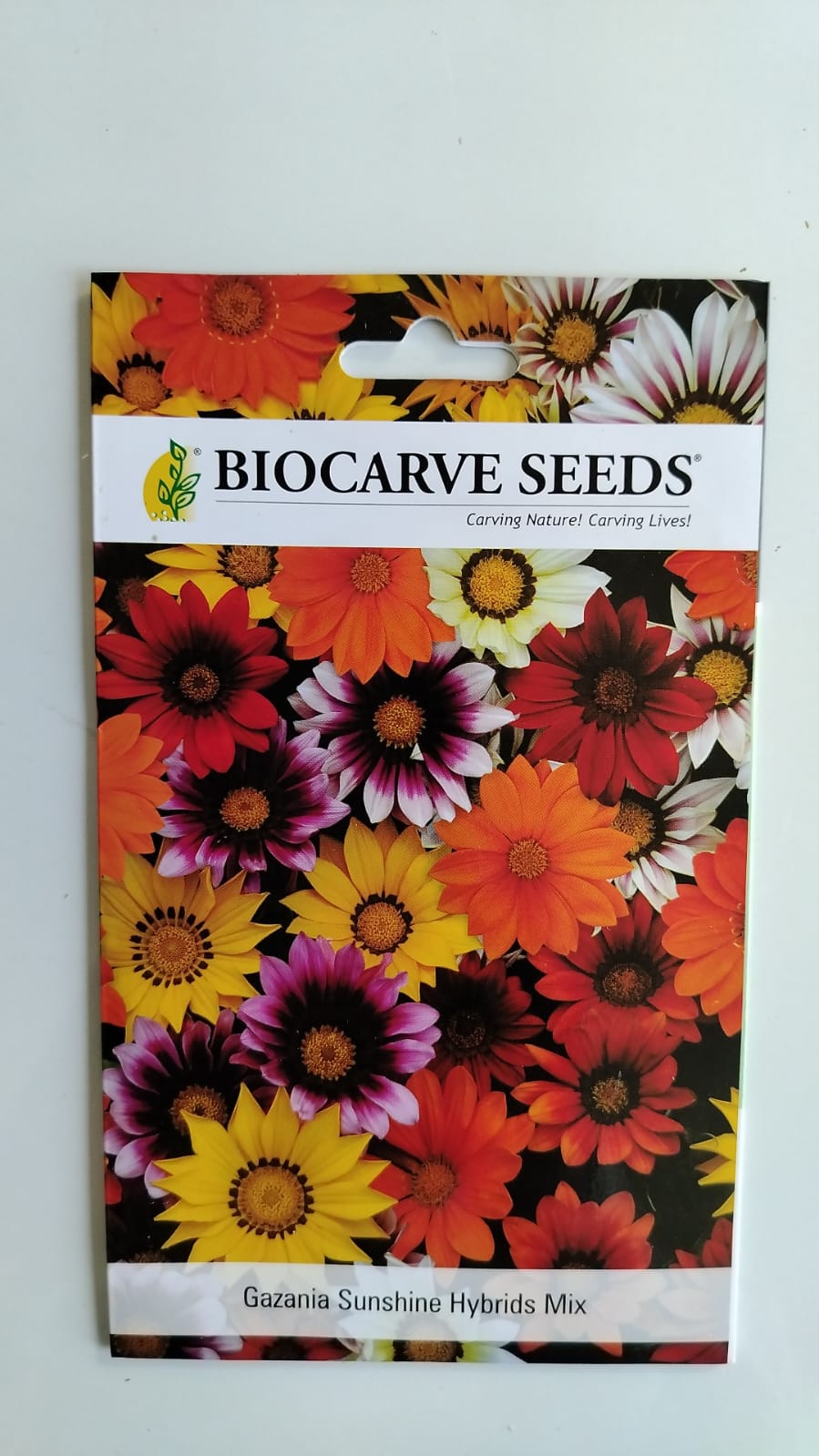 Biocarve Seeds Gazania splendens- Pack of 100 Seeds