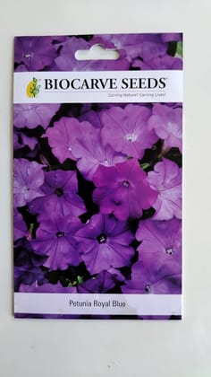 Biocarve Seeds Petunia Nana Compacta Royal Blue - Pack Of 200 Seeds