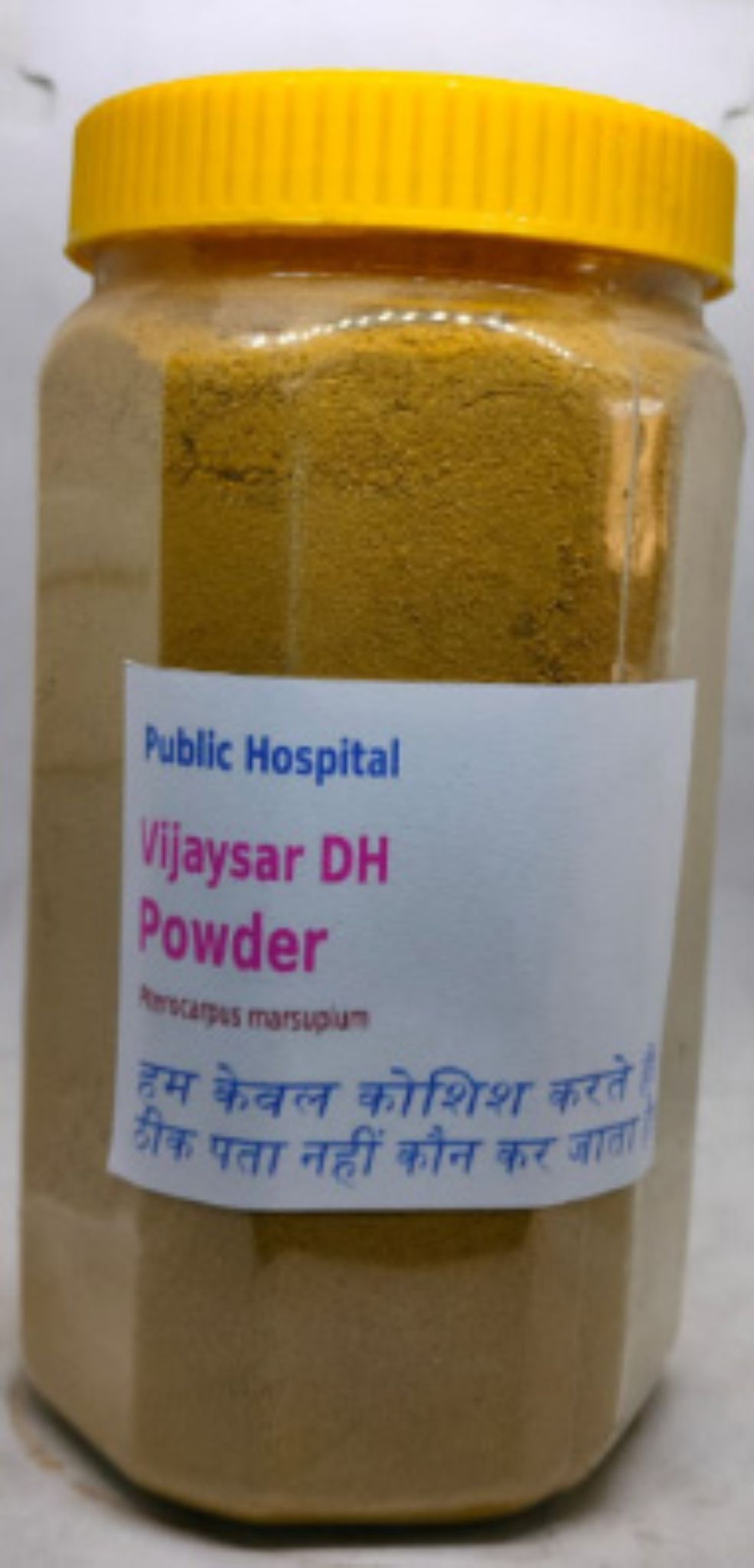 Vijaysar VH Herbal Supplement Powder