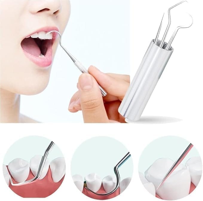 KIT & CO 7 Pcs Portable Stainless Steel Toothpicks Set, Reusable Toothpick Cleaning Kit for Teeth, Metal Toothpick Holders for Outdoor Picnic Camping Traveling