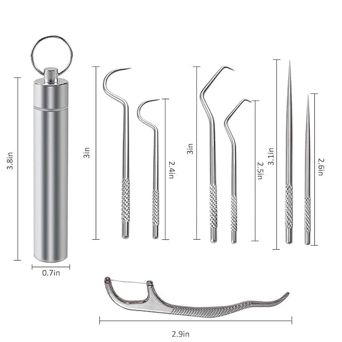 KIT & CO 7 Pcs Portable Stainless Steel Toothpicks Set, Reusable Toothpick Cleaning Kit for Teeth, Metal Toothpick Holders for Outdoor Picnic Camping Traveling